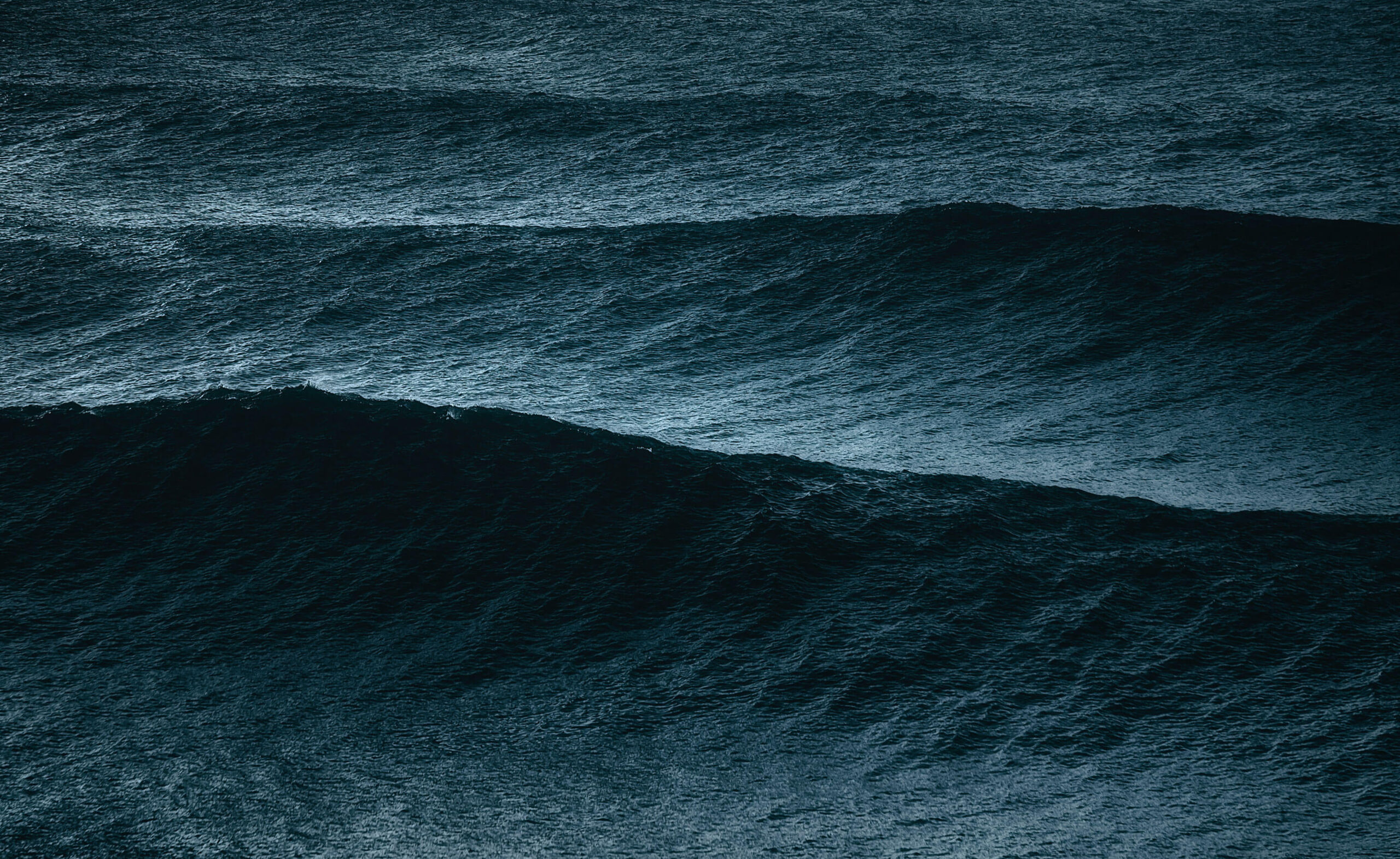 Dark wave swells in the ocean.